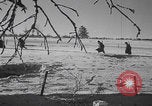 Image of Malmedy massacre victims exhumation Malmedy Belgium, 1945, second 21 stock footage video 65675079994