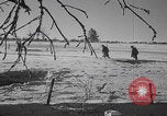 Image of Malmedy massacre victims exhumation Malmedy Belgium, 1945, second 22 stock footage video 65675079994