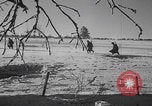 Image of Malmedy massacre victims exhumation Malmedy Belgium, 1945, second 23 stock footage video 65675079994