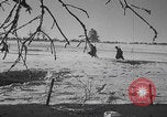 Image of Malmedy massacre victims exhumation Malmedy Belgium, 1945, second 24 stock footage video 65675079994