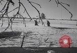 Image of Malmedy massacre victims exhumation Malmedy Belgium, 1945, second 26 stock footage video 65675079994