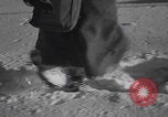 Image of Malmedy massacre victims exhumation Malmedy Belgium, 1945, second 35 stock footage video 65675079994