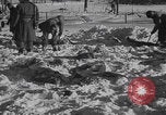 Image of Malmedy massacre victims exhumation Malmedy Belgium, 1945, second 50 stock footage video 65675079994