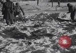 Image of Malmedy massacre victims exhumation Malmedy Belgium, 1945, second 51 stock footage video 65675079994