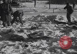 Image of Malmedy massacre victims exhumation Malmedy Belgium, 1945, second 53 stock footage video 65675079994