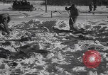 Image of Malmedy massacre victims exhumation Malmedy Belgium, 1945, second 54 stock footage video 65675079994