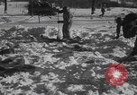 Image of Malmedy massacre victims exhumation Malmedy Belgium, 1945, second 55 stock footage video 65675079994