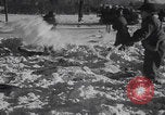 Image of Malmedy massacre victims exhumation Malmedy Belgium, 1945, second 57 stock footage video 65675079994