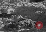 Image of Malmedy massacre victims exhumation Malmedy Belgium, 1945, second 62 stock footage video 65675079994
