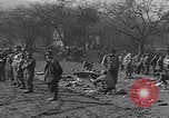 Immagine di Le truppe degli Stati Uniti cercano i prigionieri Zerf Germania, 1945, secondo 5 filmato di repertorio 65675079998