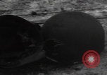 Image of Wingene Belgium burning houses Wingene Belgium, 1945, second 14 stock footage video 65675080008