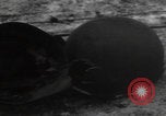 Image of Wingene Belgium burning houses Wingene Belgium, 1945, second 15 stock footage video 65675080008