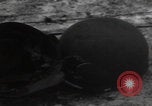 Image of Wingene Belgium burning houses Wingene Belgium, 1945, second 16 stock footage video 65675080008