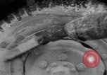 Image of 150th Signal Corps whitewash trucks Metz France, 1945, second 27 stock footage video 65675080011
