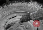 Image of 150th Signal Corps whitewash trucks Metz France, 1945, second 30 stock footage video 65675080011