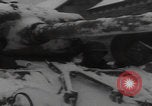 Image of African American tank crews Saint Hubert Belgium, 1945, second 20 stock footage video 65675080016