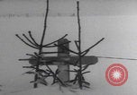 Image of US infantry vehicles blizzard WW2 Bonnal Luxembourg, 1945, second 46 stock footage video 65675080023