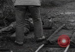 Image LES soldats AMÉRICAINS sauvent les Allemands blessés WW2 Weisweiler Allemagne, 1944, de la seconde 23 séquences d'archives historiques vidéo 65675080030