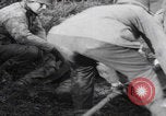 Image LES soldats AMÉRICAINS sauvent les Allemands blessés WW2 Weisweiler Allemagne, 1944, de la seconde 28 séquences d'archives historiques vidéo 65675080030