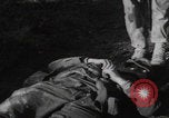 Image LES soldats AMÉRICAINS sauvent les Allemands blessés WW2 Weisweiler Allemagne, 1944, de la seconde 43 séquences d'archives historiques vidéo 65675080030