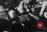 Image LES soldats AMÉRICAINS sauvent les Allemands blessés WW2 Weisweiler Allemagne, 1944, de la seconde 45 séquences d'archives historiques vidéo 65675080030