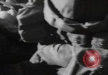 Image LES soldats AMÉRICAINS sauvent les Allemands blessés WW2 Weisweiler Allemagne, 1944, de la seconde 50 séquences d'archives historiques vidéo 65675080030