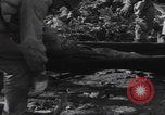 Image LES soldats AMÉRICAINS sauvent les Allemands blessés WW2 Weisweiler Allemagne, 1944, de la seconde 54 séquences d'archives historiques vidéo 65675080030
