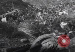 Standbild Tot US-Soldat Volkenrath Deutschland Zweiter Weltkrieg Volkenrath Deutschland, 1944, aus Sekunde 15 historischem Filmmaterial Videoclip 65675080034