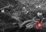Standbild Tot US-Soldat Volkenrath Deutschland Zweiter Weltkrieg Volkenrath Deutschland, 1944, aus Sekunde 17 historischem Filmmaterial Videoclip 65675080034