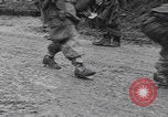 Image of US troops counterattack Belgium Belgium, 1944, second 9 stock footage video 65675080038