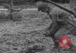 Image of US troops counterattack Belgium Belgium, 1944, second 47 stock footage video 65675080038