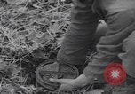 Image of US troops counterattack Belgium Belgium, 1944, second 48 stock footage video 65675080038