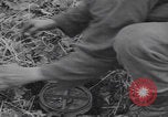 Image of US troops counterattack Belgium Belgium, 1944, second 50 stock footage video 65675080038