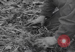 Image of US troops counterattack Belgium Belgium, 1944, second 52 stock footage video 65675080038