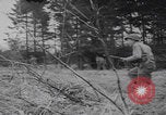Image of US troops counterattack Belgium Belgium, 1944, second 59 stock footage video 65675080038