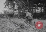 Image of US troops counterattack Belgium Belgium, 1944, second 60 stock footage video 65675080038