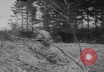 Image of US troops counterattack Belgium Belgium, 1944, second 61 stock footage video 65675080038