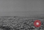 Image of US troops Siege of Bastogne Bastogne Belgium, 1944, second 12 stock footage video 65675080039