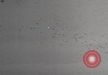 Image of German V-1 Antwerp attack Antwerp Belgium, 1944, second 22 stock footage video 65675080041