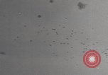 Image of German V-1 Antwerp attack Antwerp Belgium, 1944, second 24 stock footage video 65675080041