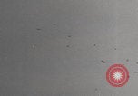 Image of German V-1 Antwerp attack Antwerp Belgium, 1944, second 28 stock footage video 65675080041