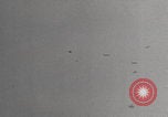 Image of German V-1 Antwerp attack Antwerp Belgium, 1944, second 33 stock footage video 65675080041