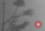 Image of US gunners defend Antwerp Antwerp Belgium, 1945, second 37 stock footage video 65675080043