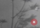 Image of US gunners defend Antwerp Antwerp Belgium, 1945, second 39 stock footage video 65675080043