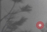 Image of US gunners defend Antwerp Antwerp Belgium, 1945, second 40 stock footage video 65675080043