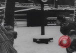 Image of Paris snowball fight WW2 Paris France, 1944, second 58 stock footage video 65675080048