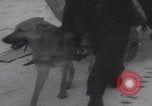 Image of French refugees winter snow France, 1944, second 55 stock footage video 65675080049