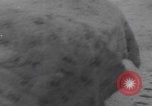 Image of French refugees winter snow France, 1944, second 57 stock footage video 65675080049