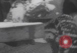 Image of US military vehicles icy roads WW2 Belgium, 1944, second 39 stock footage video 65675080052