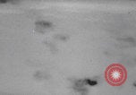Image of US Ninth Air Force carpet bomb Germany Germany, 1945, second 50 stock footage video 65675080055